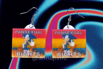 Sonic the Hedgehog Flaming Pride Flag Handmade Earrings!