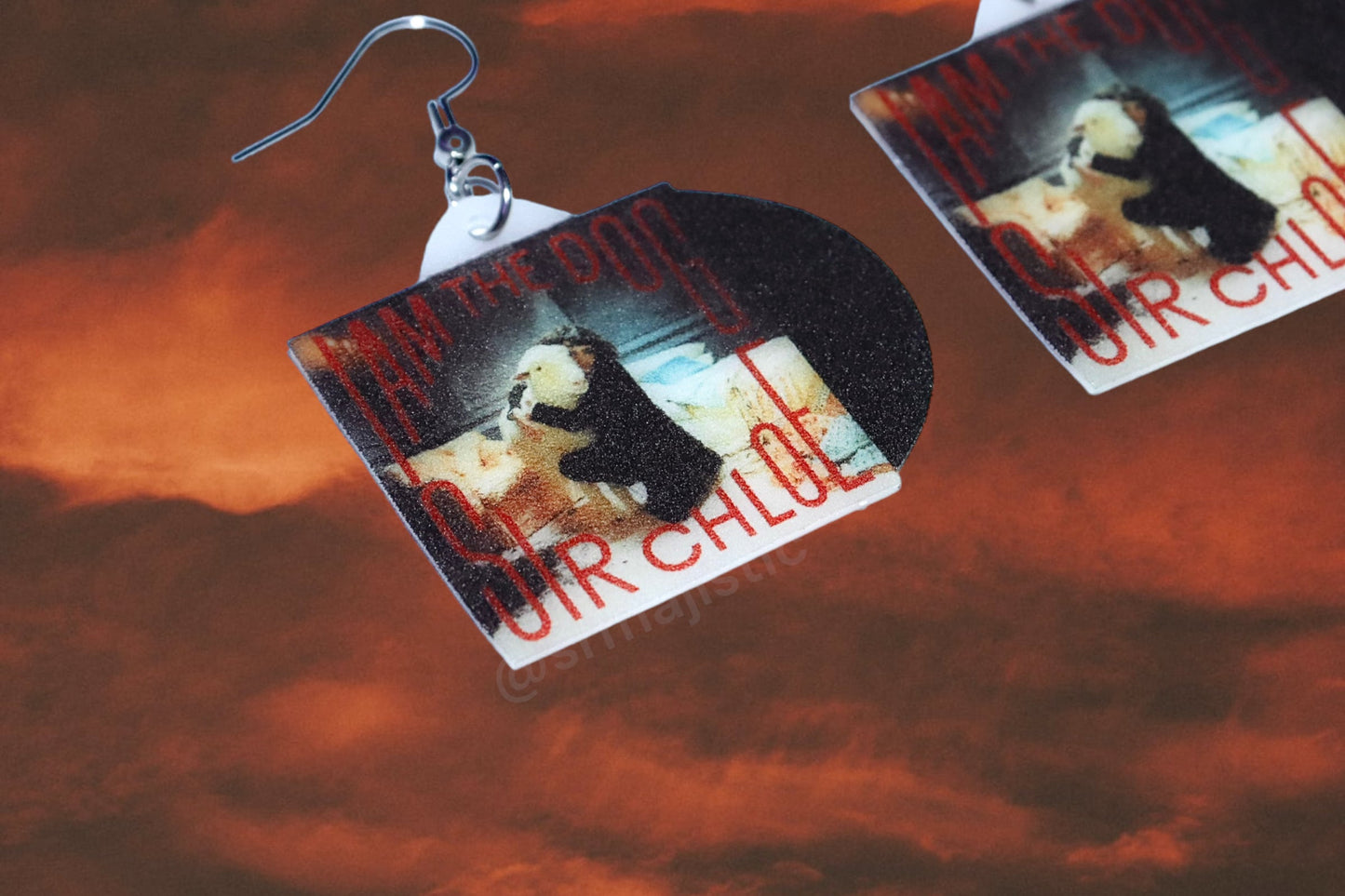 (READY TO SHIP) Sir Chloe I Am The Dog Vinyl Album Handmade Earrings!