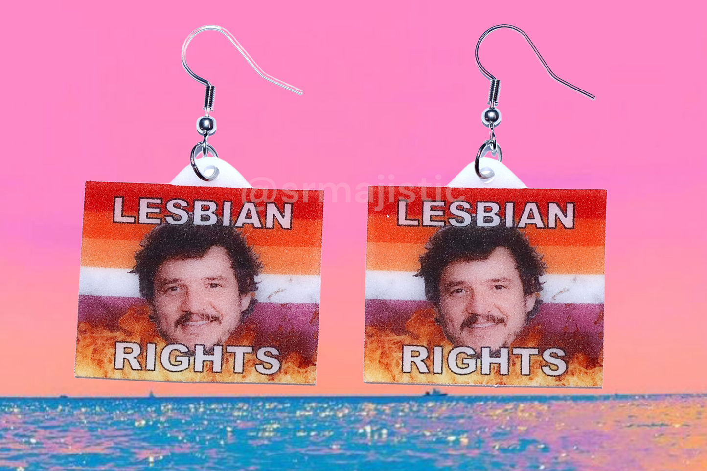 (READY TO SHIP) Pedro Pascal says Gay Rights Flame Pride Flag Handmade Earrings!