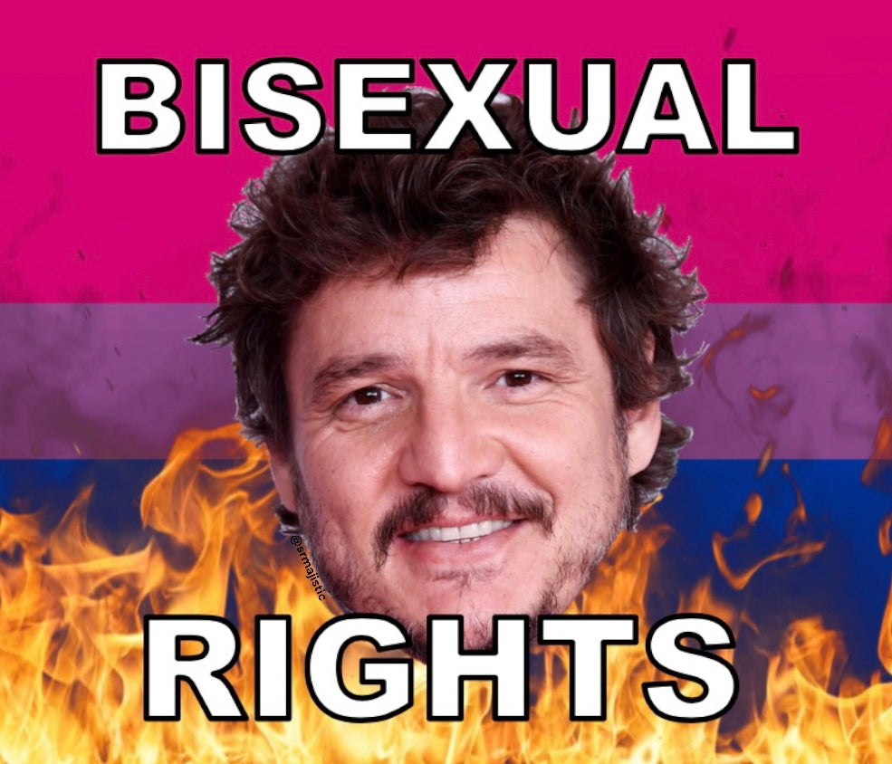 Bumper Stickers of Pedro Pascal Flaming Pride Flag