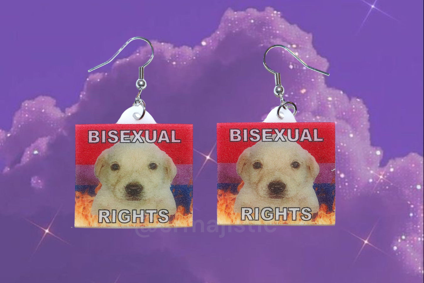 (READY TO SHIP) Jotchua Dog Flaming Pride Flags Handmade Earrings!