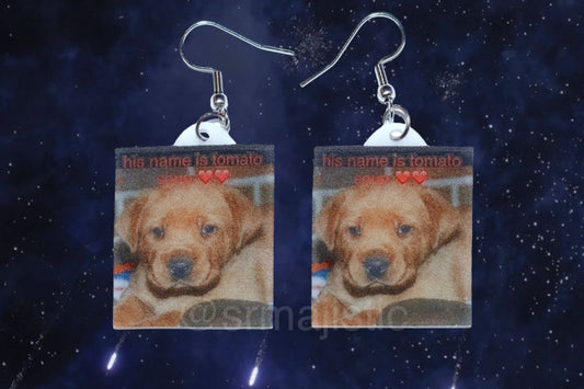 ‘His name is Tomato Soup ♥️♥️’ Cute Dog Funny Meme Handmade Earrings!