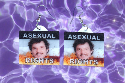 (READY TO SHIP) Pedro Pascal says Gay Rights Flame Pride Flag Handmade Earrings!