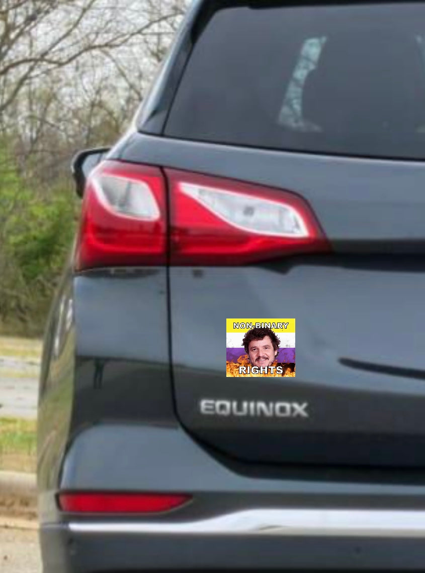 Bumper Stickers of Pedro Pascal Flaming Pride Flag