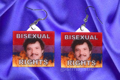 (READY TO SHIP) Pedro Pascal says Gay Rights Flame Pride Flag Handmade Earrings!