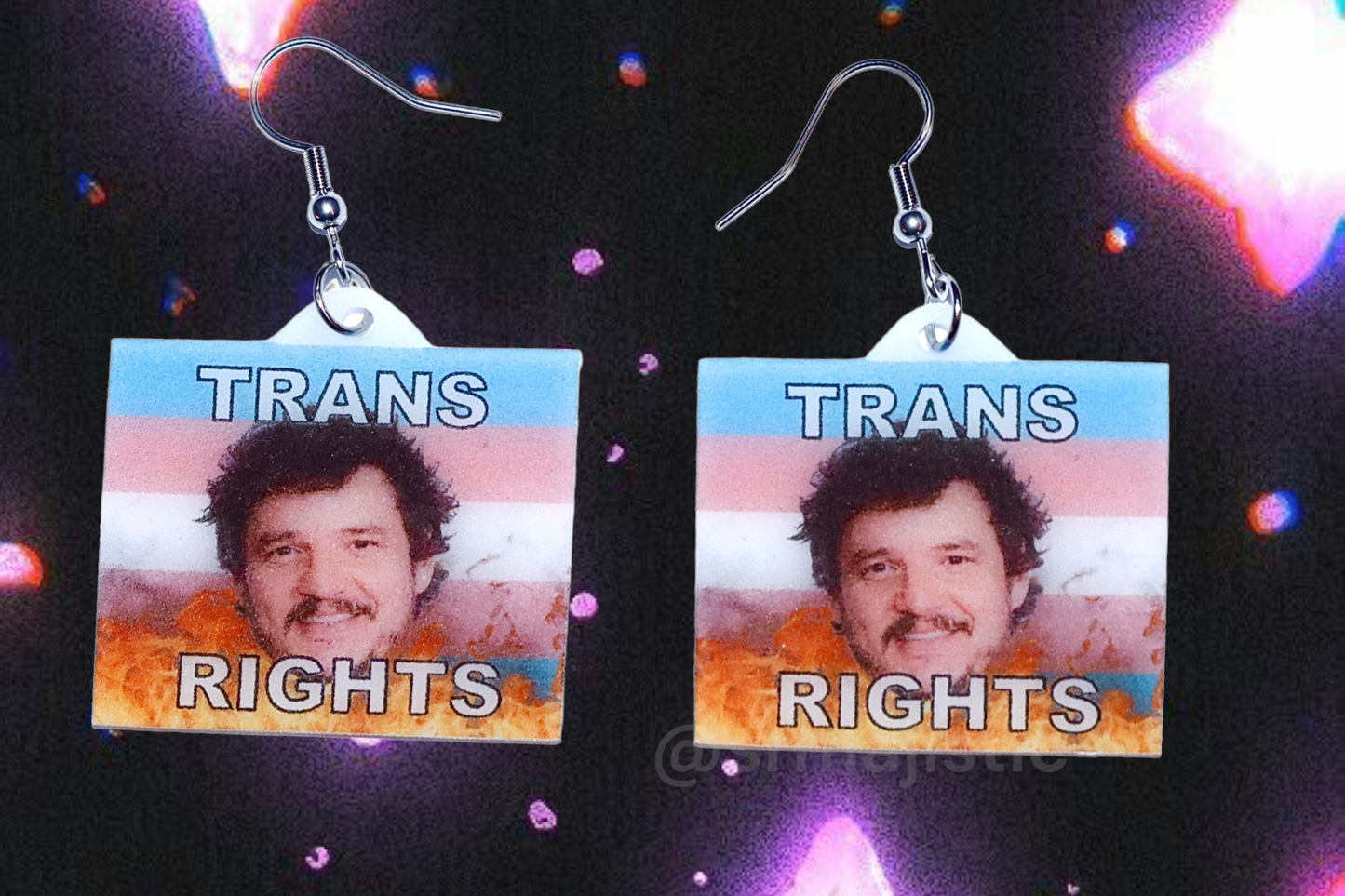 (READY TO SHIP) Pedro Pascal says Gay Rights Flame Pride Flag Handmade Earrings!