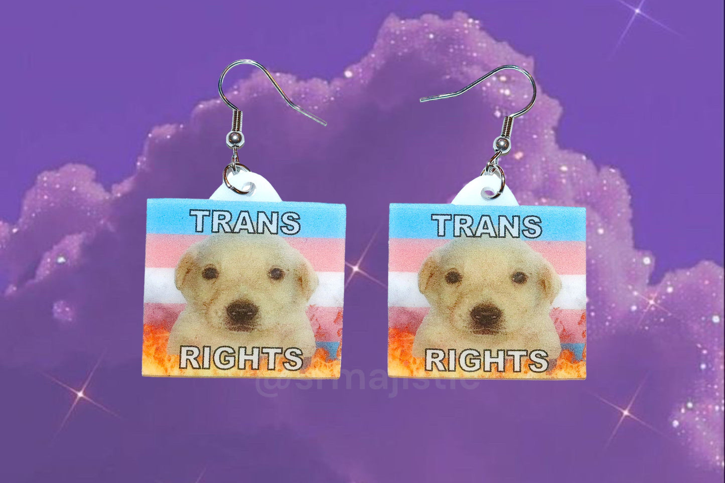 (READY TO SHIP) Jotchua Dog Flaming Pride Flags Handmade Earrings!