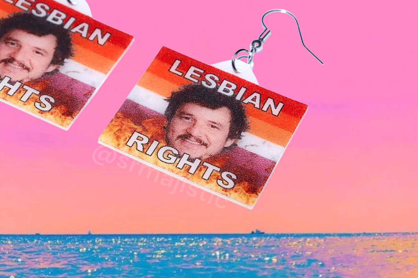 Pedro Pascal Lesbian Rights Flame Pride Flag Handmade Earrings!