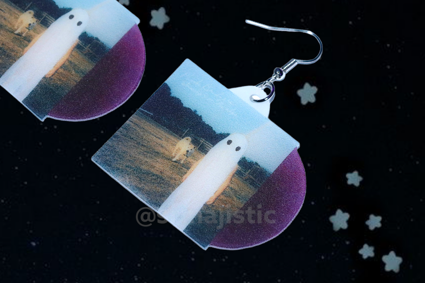 Phoebe Bridgers Stranger in the Alps Vinyl Album Handmade Earrings!