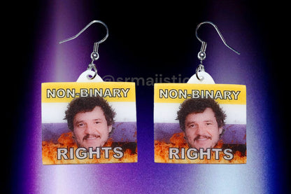 Pedro Pascal Non-Binary Rights Flame Pride Flag Handmade Earrings!